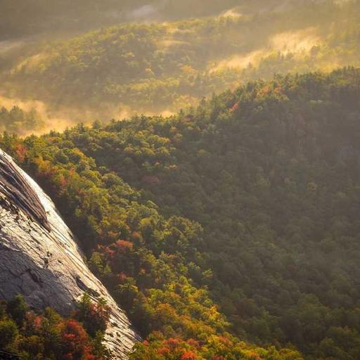 Dampak Stres Kronis terhadap Kualitas Hidup