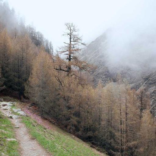 Dinamika Politik dan Ekonomi dalam Membangun Stabilitas Negara