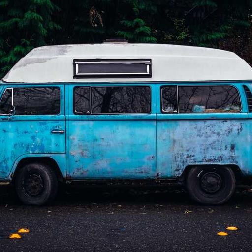 Pentingnya Hutan Sebagai Paru Paru Dunia