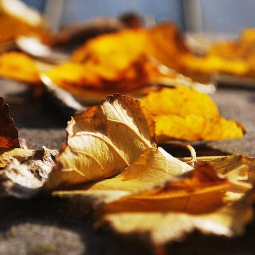 Trik Membuat Catatan Belajar yang Efektif dan Mudah Dipahami